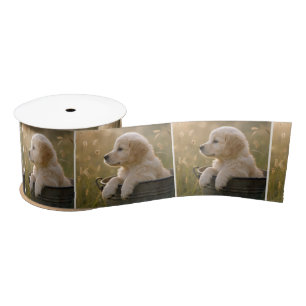 Golden Retriever Puppy in a Metal Bucket Satin Ribbon