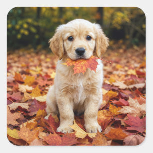 Golden Retriever Puppy in Autumn Leaves Square Sticker