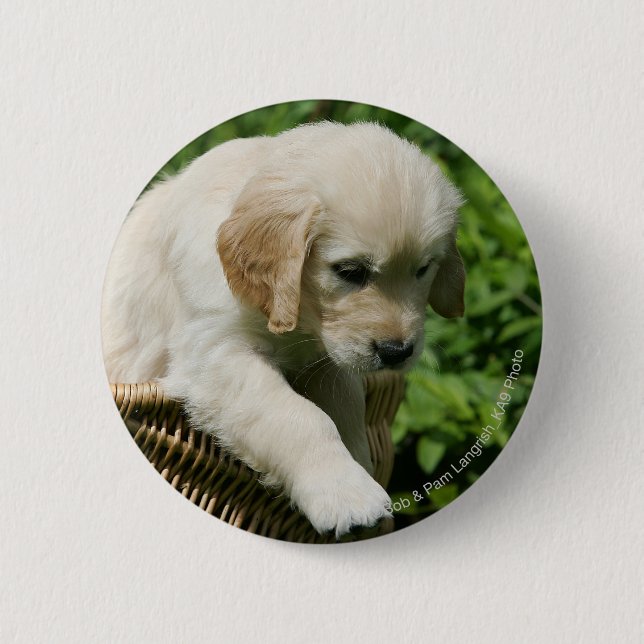 Golden Retriever Puppy in Basket 6 Cm Round Badge (Front)