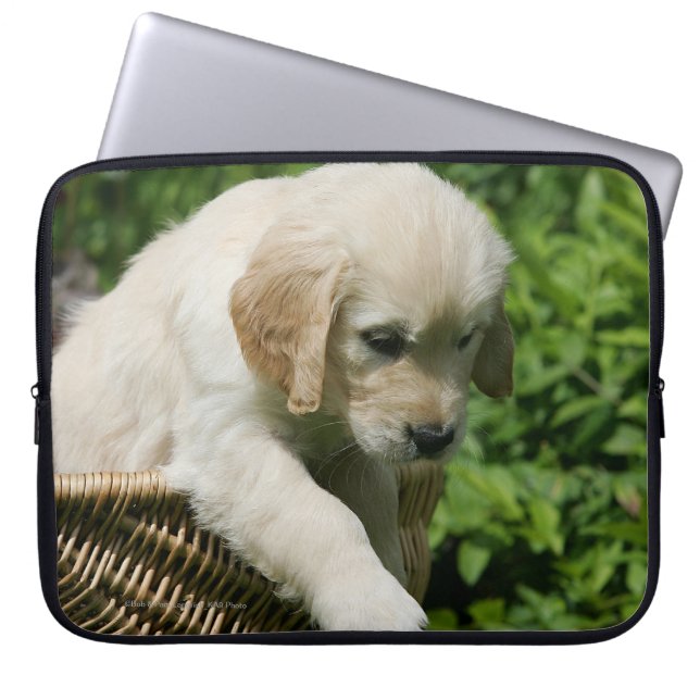 Golden Retriever Puppy in Basket Laptop Sleeve (Front)