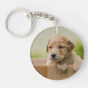 Golden Retriever Puppy in Box Key Ring