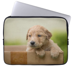 Golden Retriever Puppy in Box Laptop Sleeve