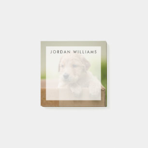 Golden Retriever Puppy in Box Post-it Notes