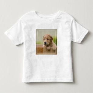 Golden Retriever Puppy in Box Toddler T-Shirt