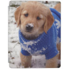 Golden Retriever Puppy