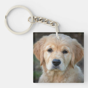 Golden Retriever Puppy Key Ring