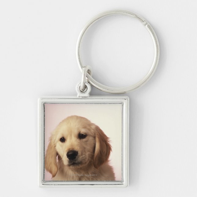 Golden retriever puppy key ring (Front)