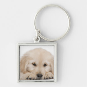 Golden retriever puppy key ring