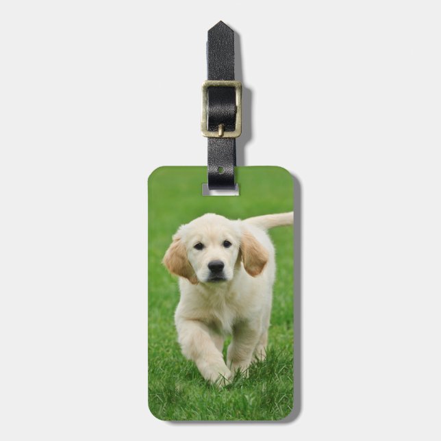 Golden retriever puppy luggage tag (Front Vertical)