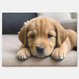 Golden Retriever Puppy Magnet