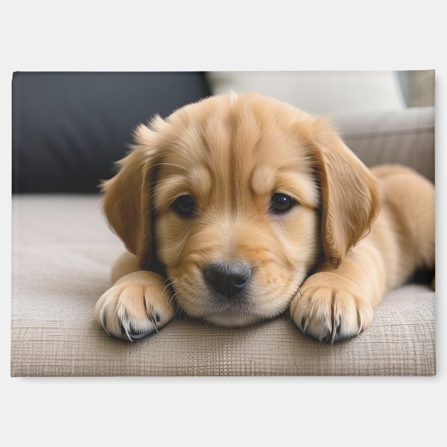 Golden Retriever Puppy Magnet (Front)