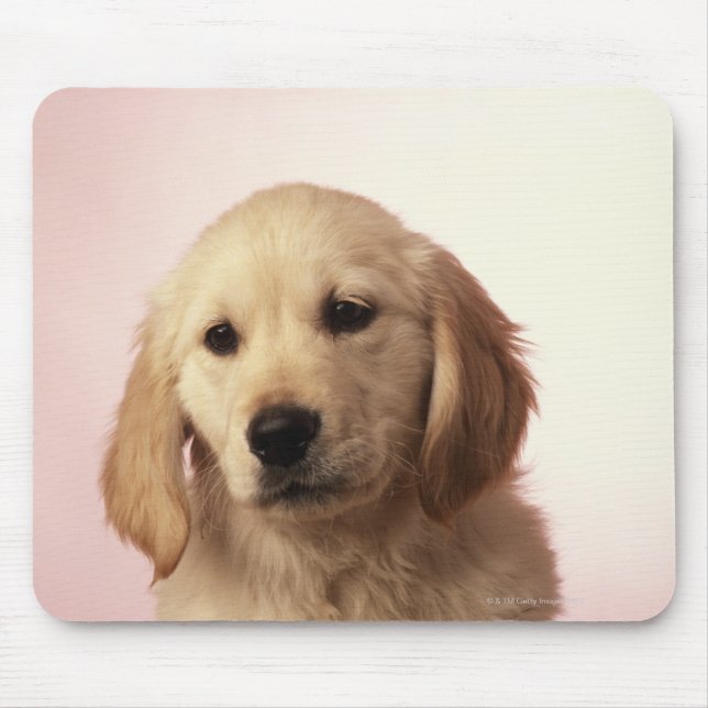 Golden Retriever Puppy Mouse Pad (Front)
