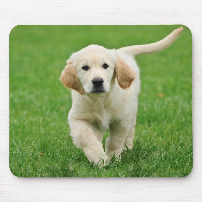Golden retriever puppy mouse pad (Front)