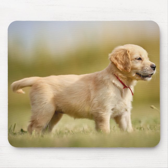 Golden Retriever Puppy Mouse Pad (Front)