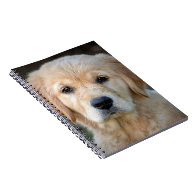 Golden Retriever Puppy Notebook (Right Side)