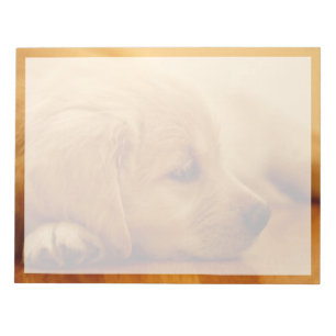 Golden Retriever Puppy Notepad