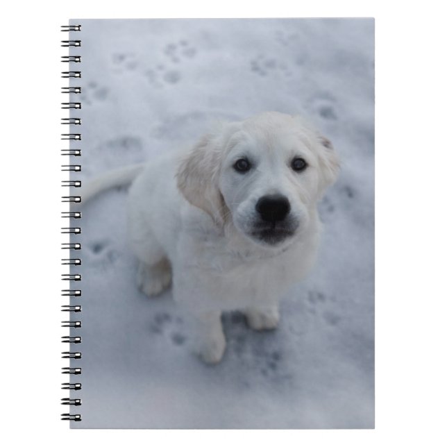 Golden Retriever Puppy Notepad Spiral Notebook (Front)
