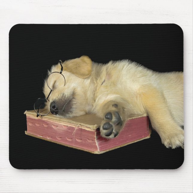 Golden Retriever puppy on book Mouse Pad (Front)