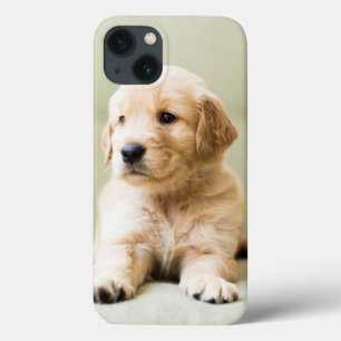 Golden Retriever Puppy on Couch iPhone 13 Case