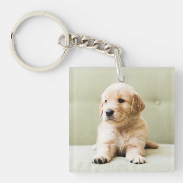 Golden Retriever Puppy on Couch Key Ring (Front)