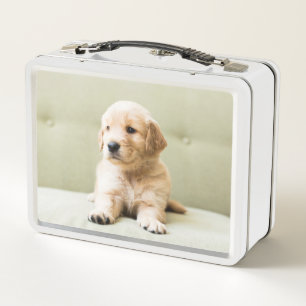 Golden Retriever Puppy on Couch Metal Lunch Box
