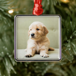 Golden Retriever Puppy on Couch Metal Tree Decoration