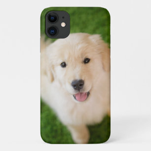 Golden Retriever Puppy on Grass Case-Mate iPhone Case