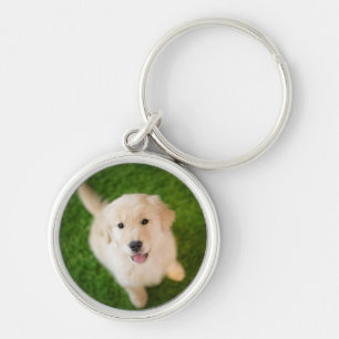 Golden Retriever Puppy on Grass Key Ring