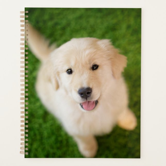 Golden Retriever Puppy on Grass Planner (Front)