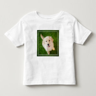 Golden Retriever Puppy on Grass Toddler T-Shirt