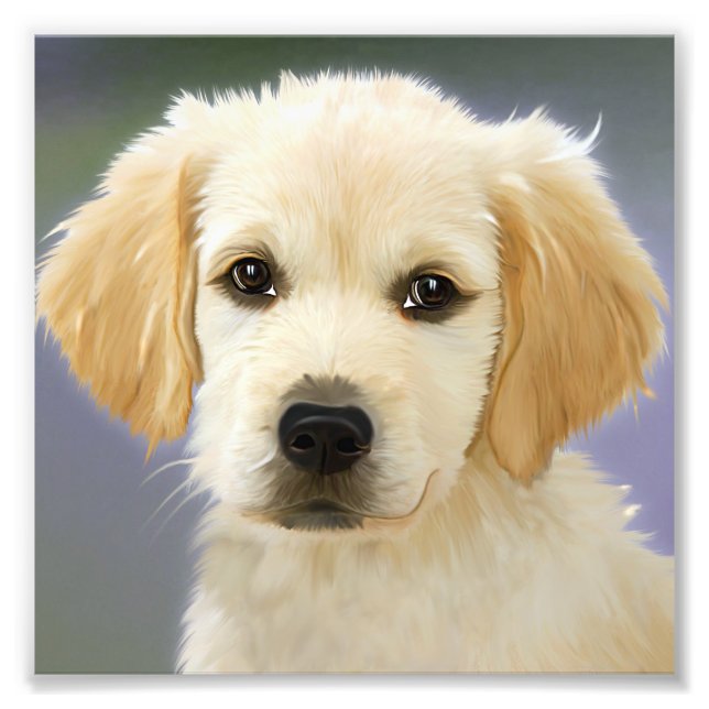 Golden Retriever Puppy Painting Photo Print (Front)