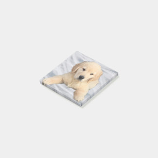 Golden Retriever Puppy Post It Notes