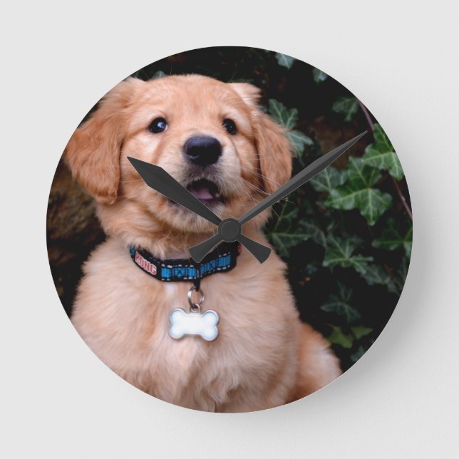 Golden Retriever Puppy Round Clock (Front)