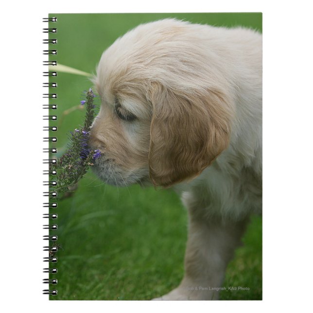 Golden Retriever Puppy Spiral Notebook (Front)