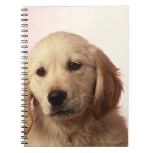 Golden retriever puppy spiral notebook