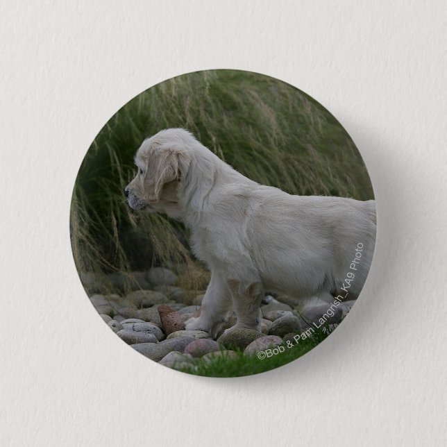 Golden Retriever Puppy Standing 6 Cm Round Badge (Front)