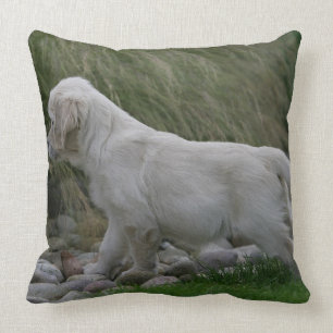 Golden Retriever Puppy Standing Cushion