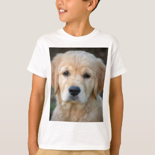 Golden Retriever Puppy T-Shirt