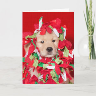 Golden Retriever Puppy Tangled in Garland Card