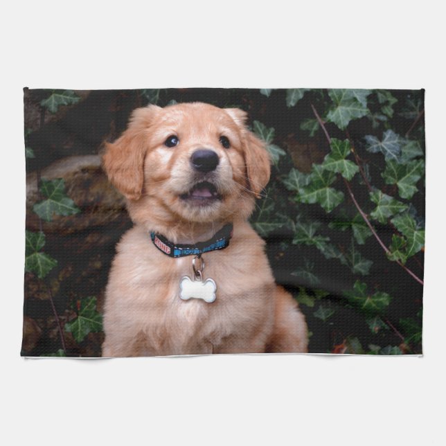 Golden Retriever Puppy Tea Towel (Horizontal)