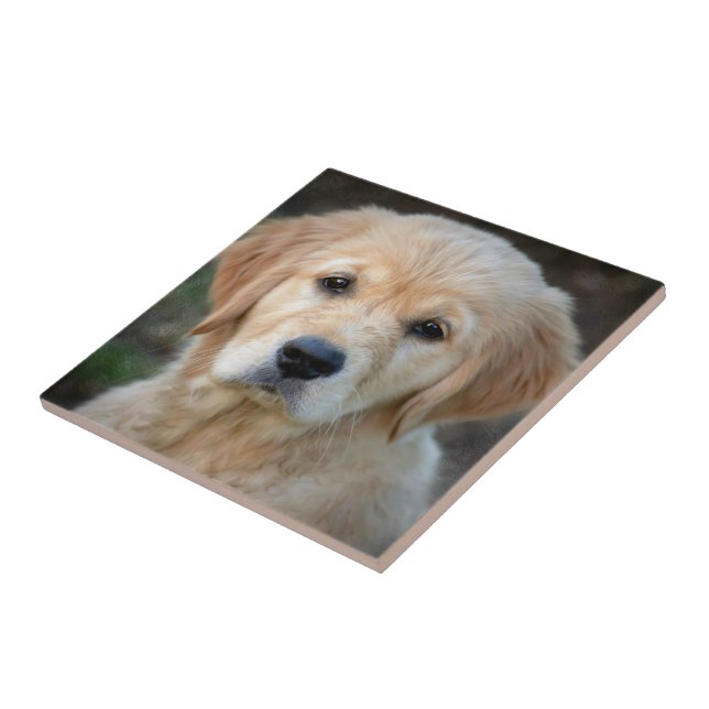 Golden Retriever Puppy Tile (Side)
