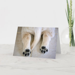 Golden Retriever Puppy Toes Card