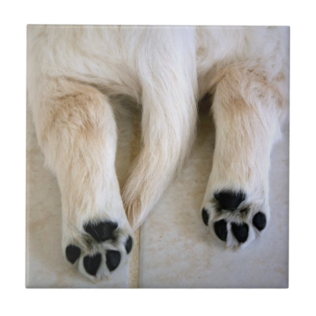 Golden Retriever Puppy Toes Tile (Front)