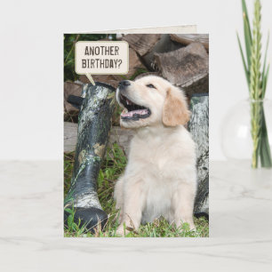 Golden Retriever puppy with boots birthday Card