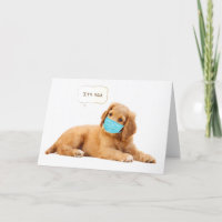 Golden Retriever puppy with face mask