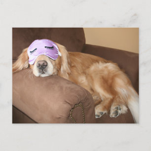 Golden Retriever Retirement Postcard