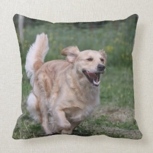 Golden Retriever Running 1 Cushion