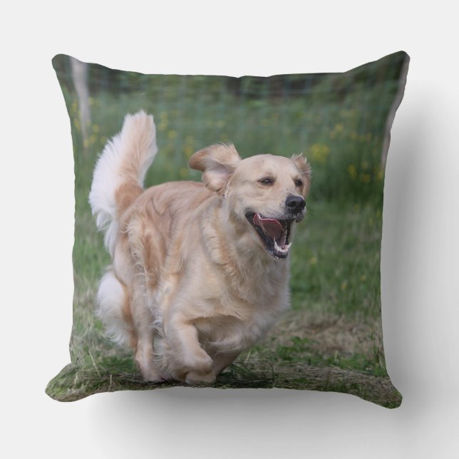 Golden Retriever Running 1 Cushion (Front)