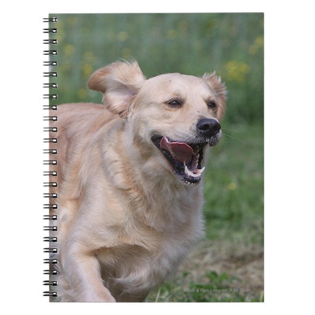 Golden Retriever Running 1 Spiral Notebook (Front)
