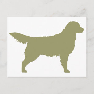 Golden Retriever (sage green) Postcard